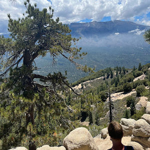 Meet your Posher, Vincent